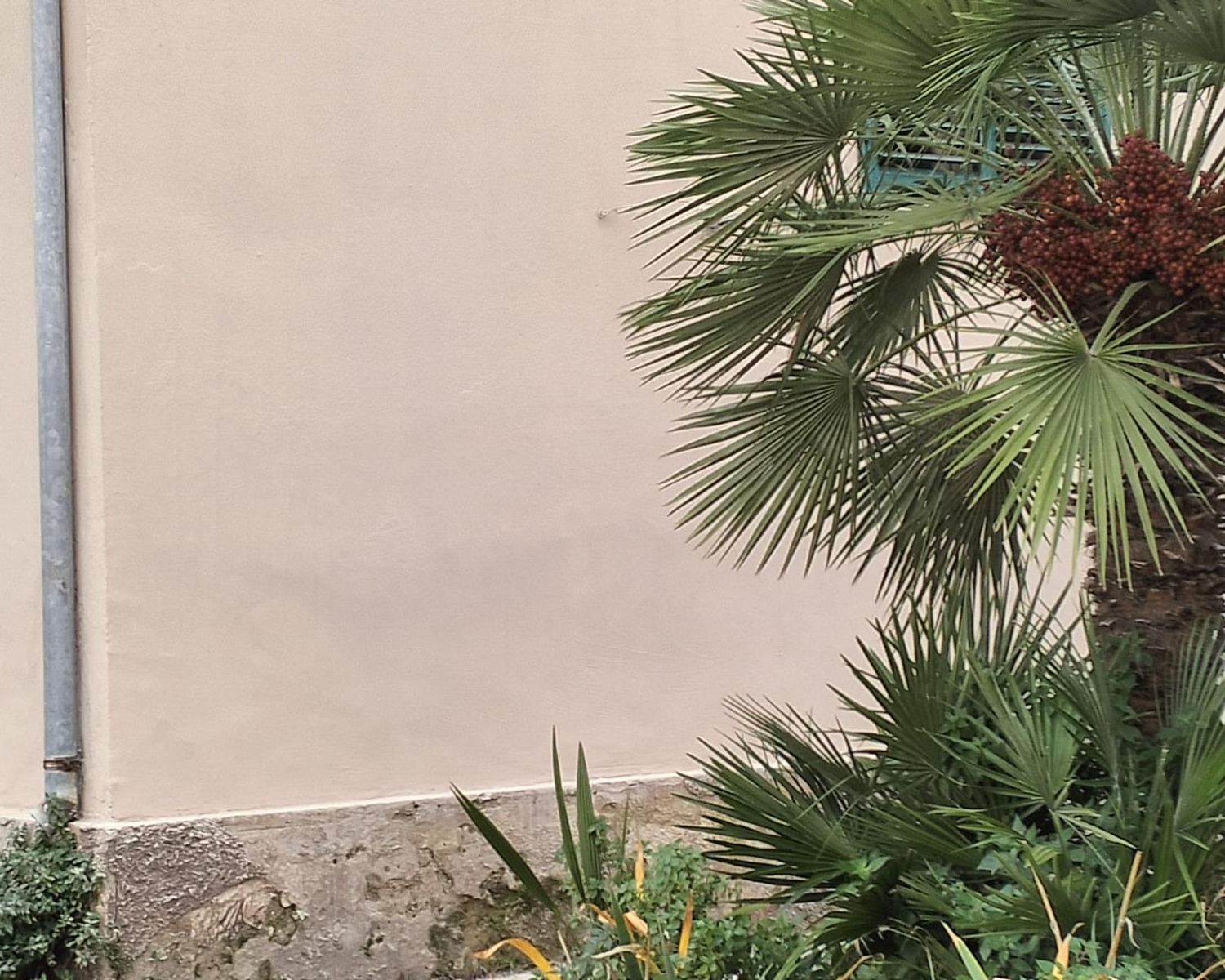 risanamento_muro_esterno_prima